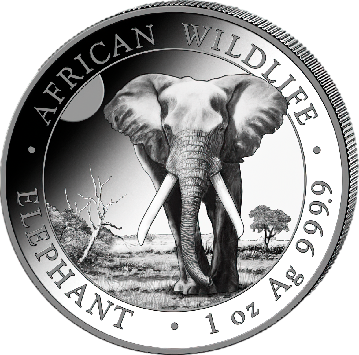 1 Unze Silber Somalia Elefant 2025