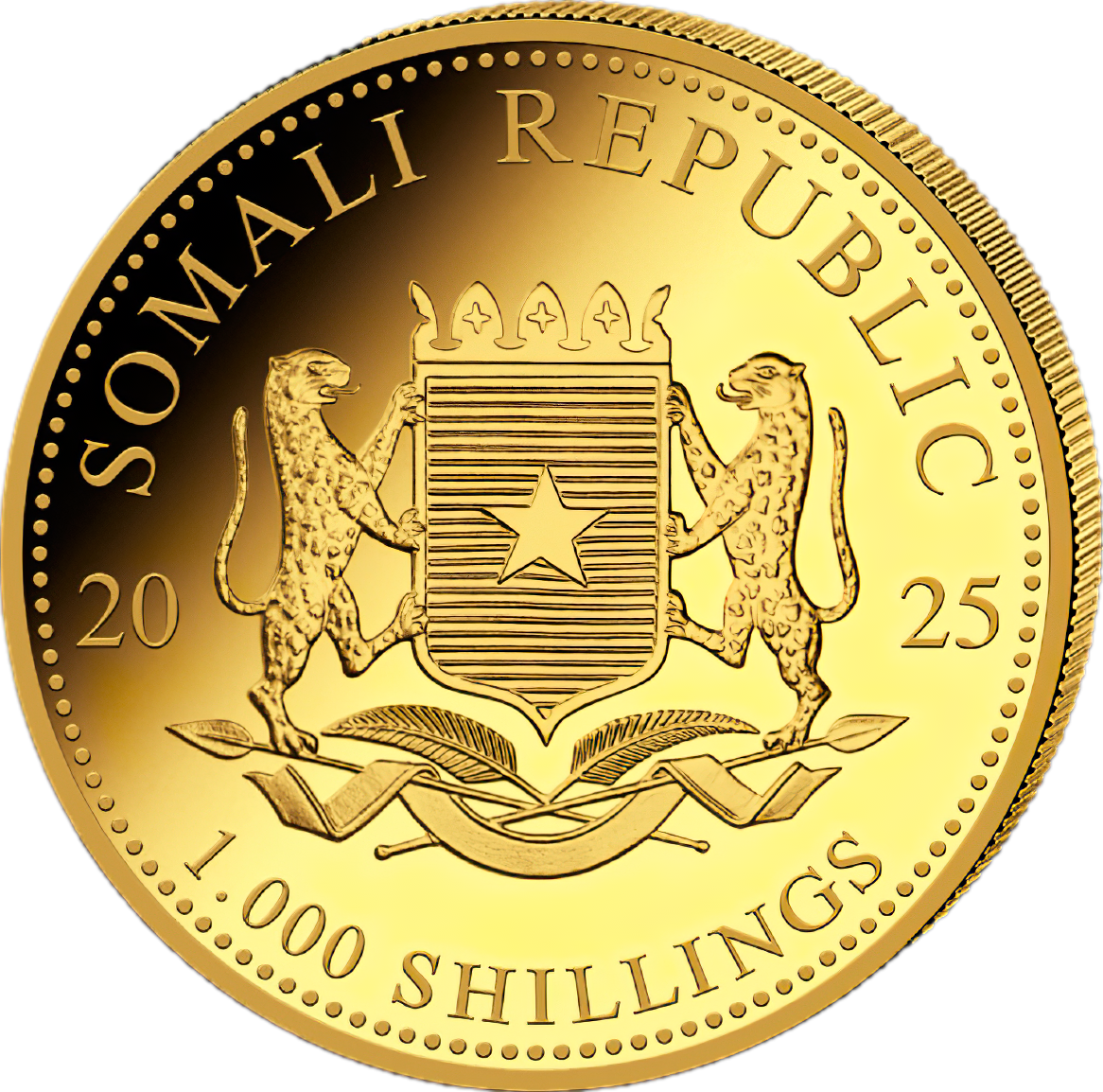 1 Unze Gold Somalia Elefant 2025