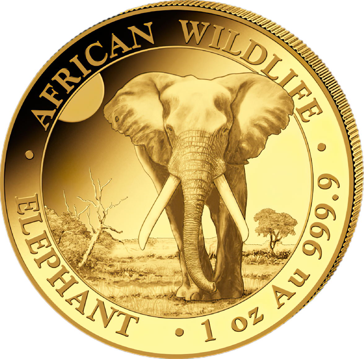 1 Unze Gold Somalia Elefant 2025