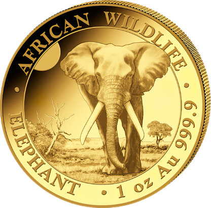 1 Unze Gold Somalia Elefant 2025
